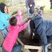 photos/Pasquetta_2015/thumbs/pasquetta_07042015_23.jpg